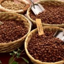 Tháng 5-2016 xuất khẩu cà phê đạt 134.000 tấn